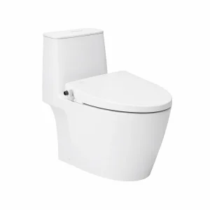 Bồn Cầu 1 Khối INAX AC-902/CW-S15VN Nắp Rửa Cơ