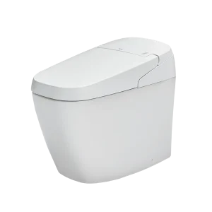 Bồn Cầu Điện Tử INAX AC-G216VN  SATIZ Tự Động Xả